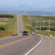 Image for article titled I-95 Diagnosed With Highway Cancer